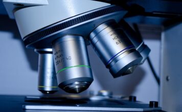 Ile lat trwają studia w Niemczech?