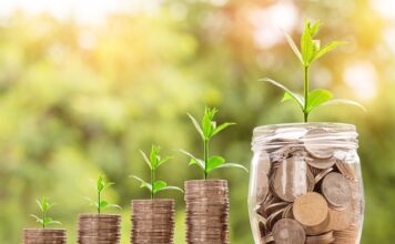 Czy bank należy do sektora finansów publicznych?