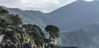 Ile kosztuje wizyta u fizjoterapeuty?