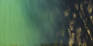 Jaki poziom języka na studia w Niemczech?