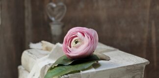 Co to są zobowiązania finansowe?