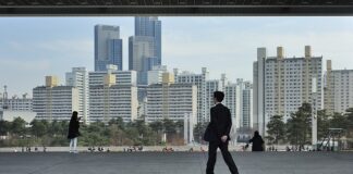 Jak założyć sieć?