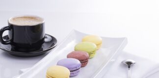 Jakie są cechy stosunku pracy?