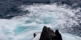 Dlaczego ceny paliw rosną?